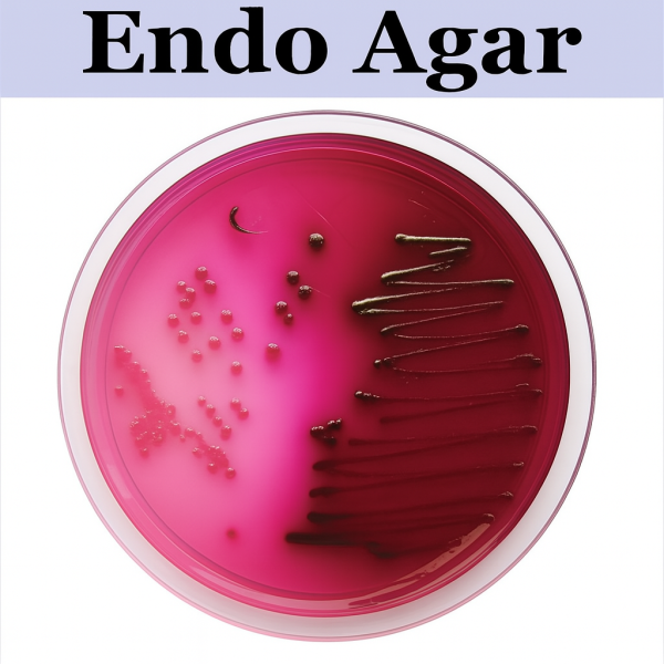 Endo Agar