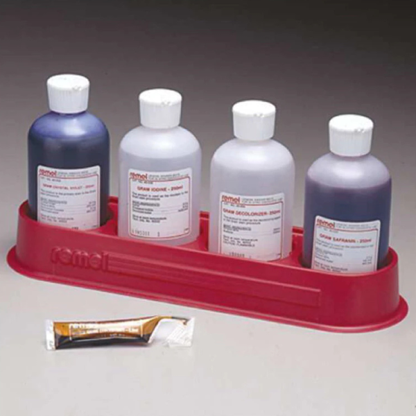 Gram Stain Kit