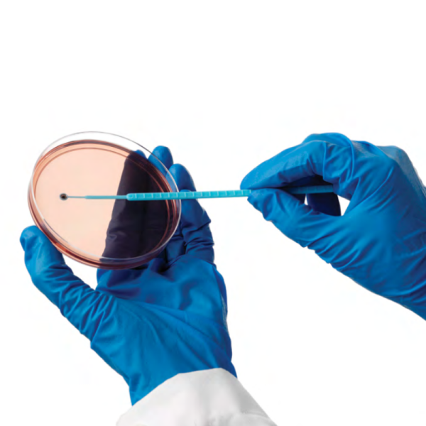 Culti-Loops™ Pseudomonas aeruginosa ATCC™ 15442™